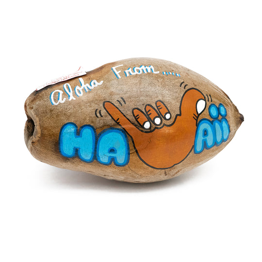 Maui’s Coconotes (painted coconuts) Punalu‘u Bake Shop